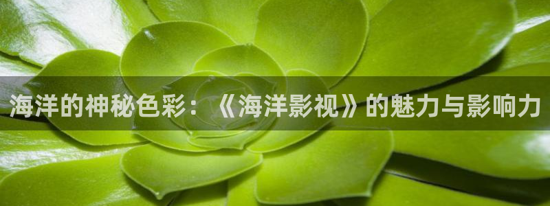 金桔檸檬汁視頻